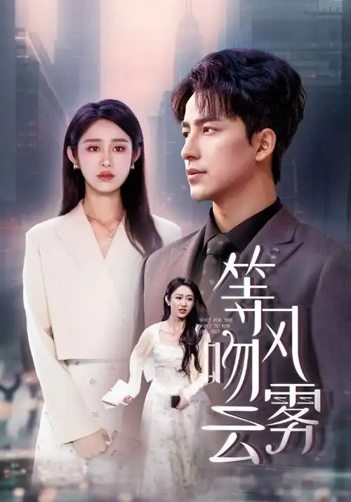 账本与晚风剧照，会计事务所深夜办公室